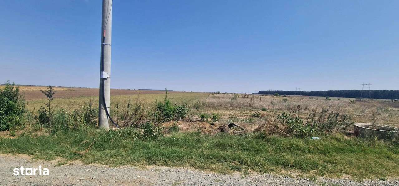 Teren de vanzare Branesti Intre Residential - Imagine principală: 4/4