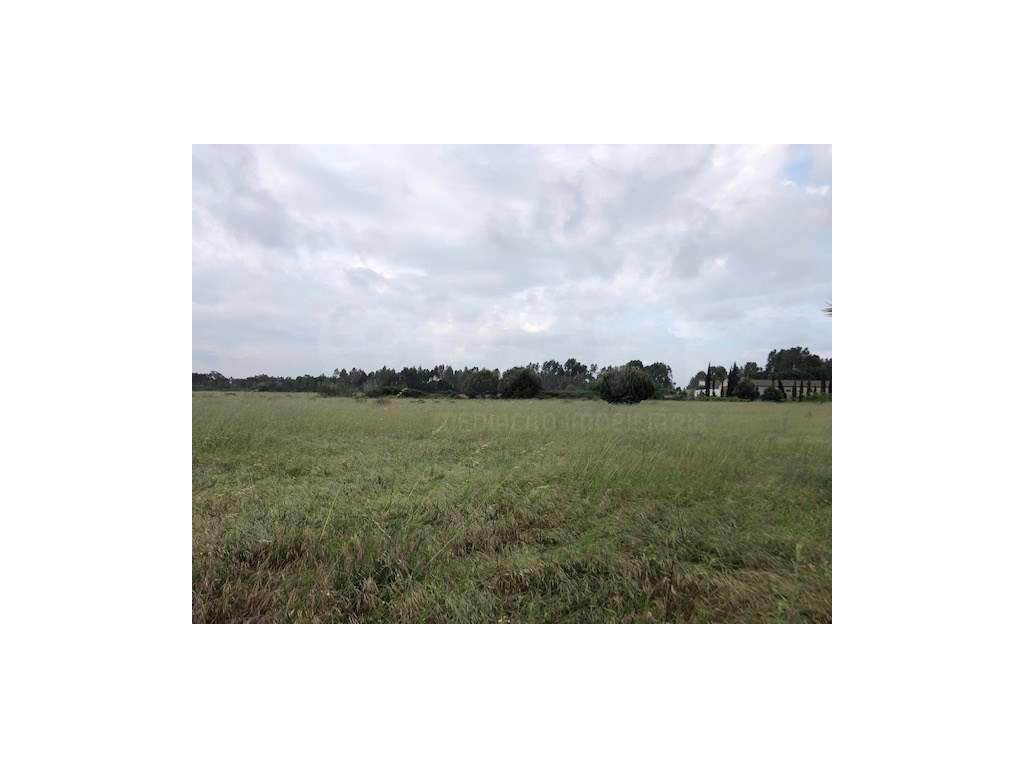 Terreno Benavente - Grande imagem: 3/16