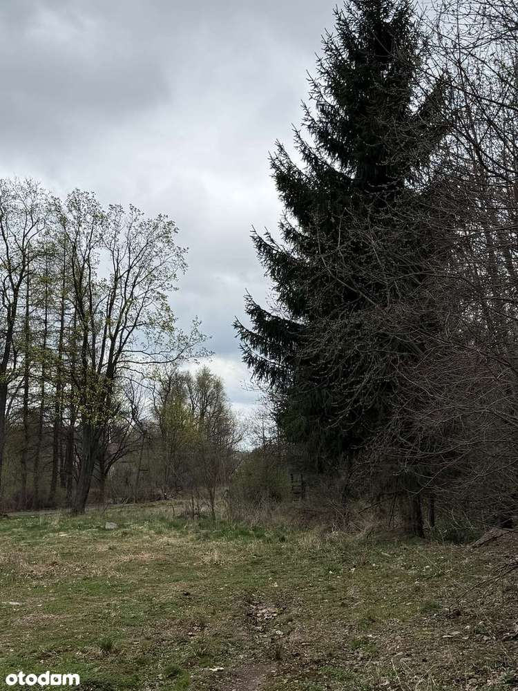 Działka z warunkami zabudowy - las, dostęp do drogi. Inwestycja.-8