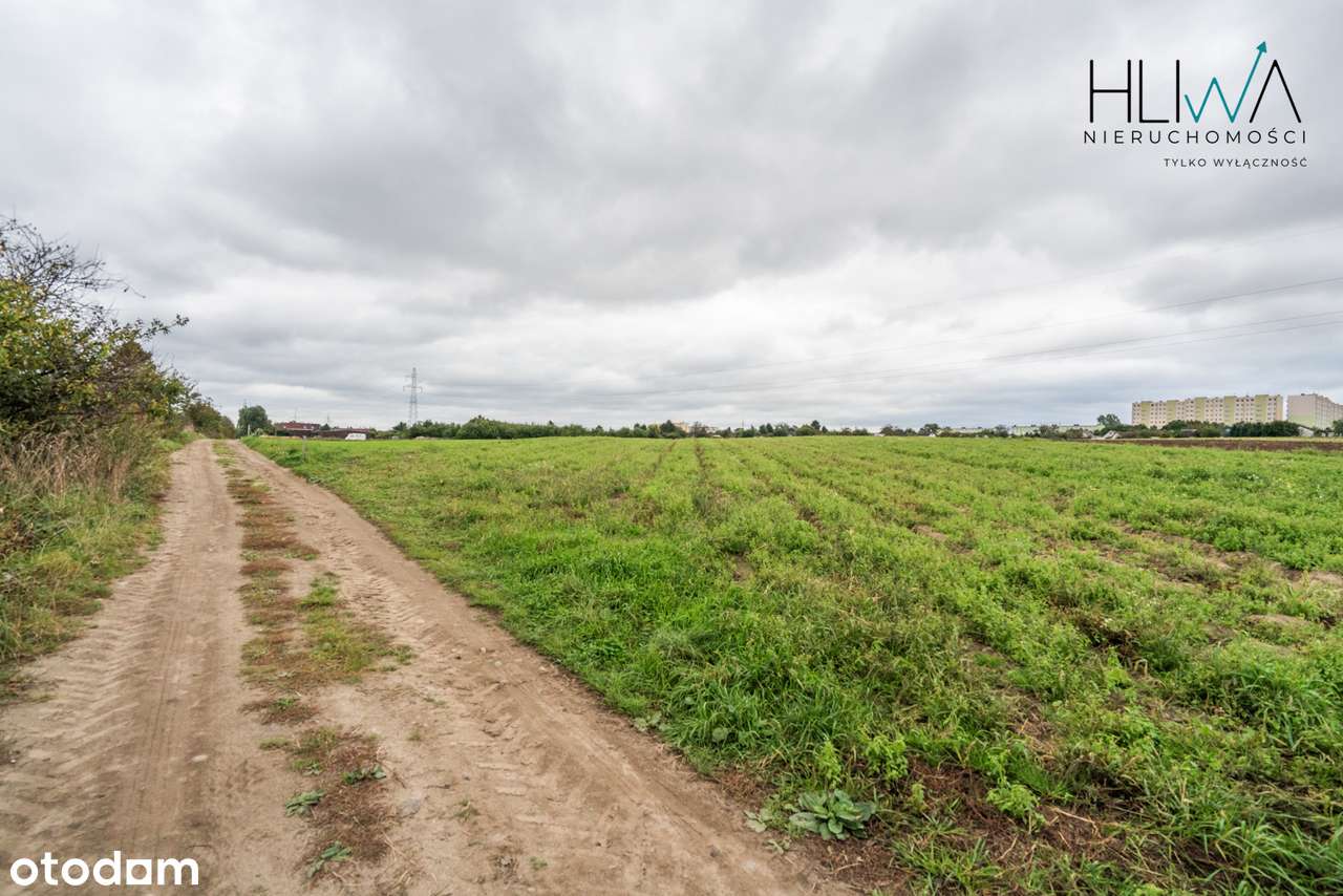 Działki rolne Gdynia Obłuże, powierzchnie od 3003 m2-8