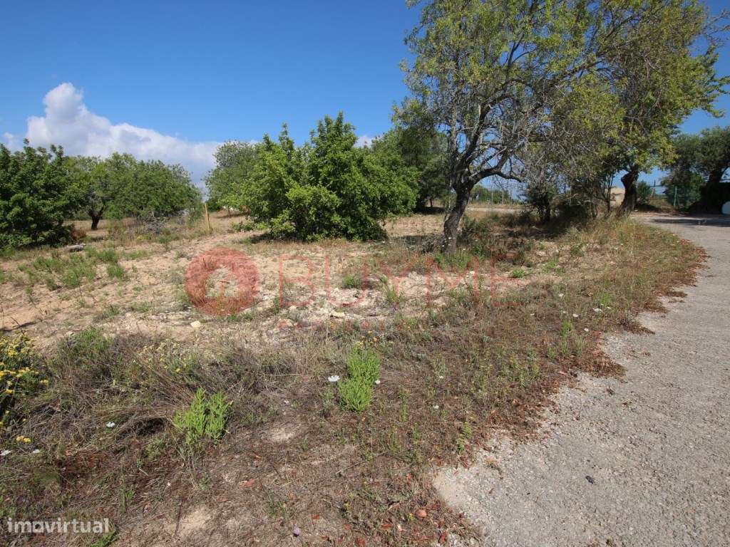 Terreno Urbano com Projeto Aprovado em Paderne, Albufeira - Grande imagem: 4/9