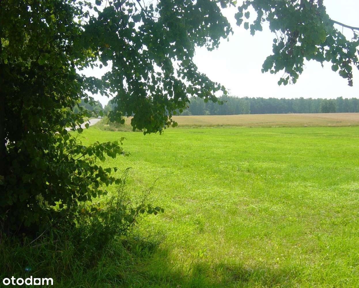 Działki budowlane lokata inwestycja dobry zakup ! - Pełny obrazek: 2/4