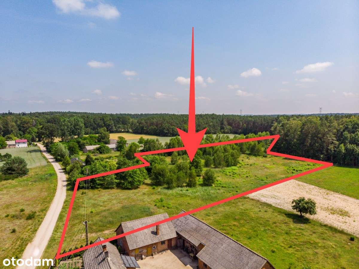 Urokliwe działki pod lasem-zabudowa jednorodzinna - Pełny obrazek: 4/7