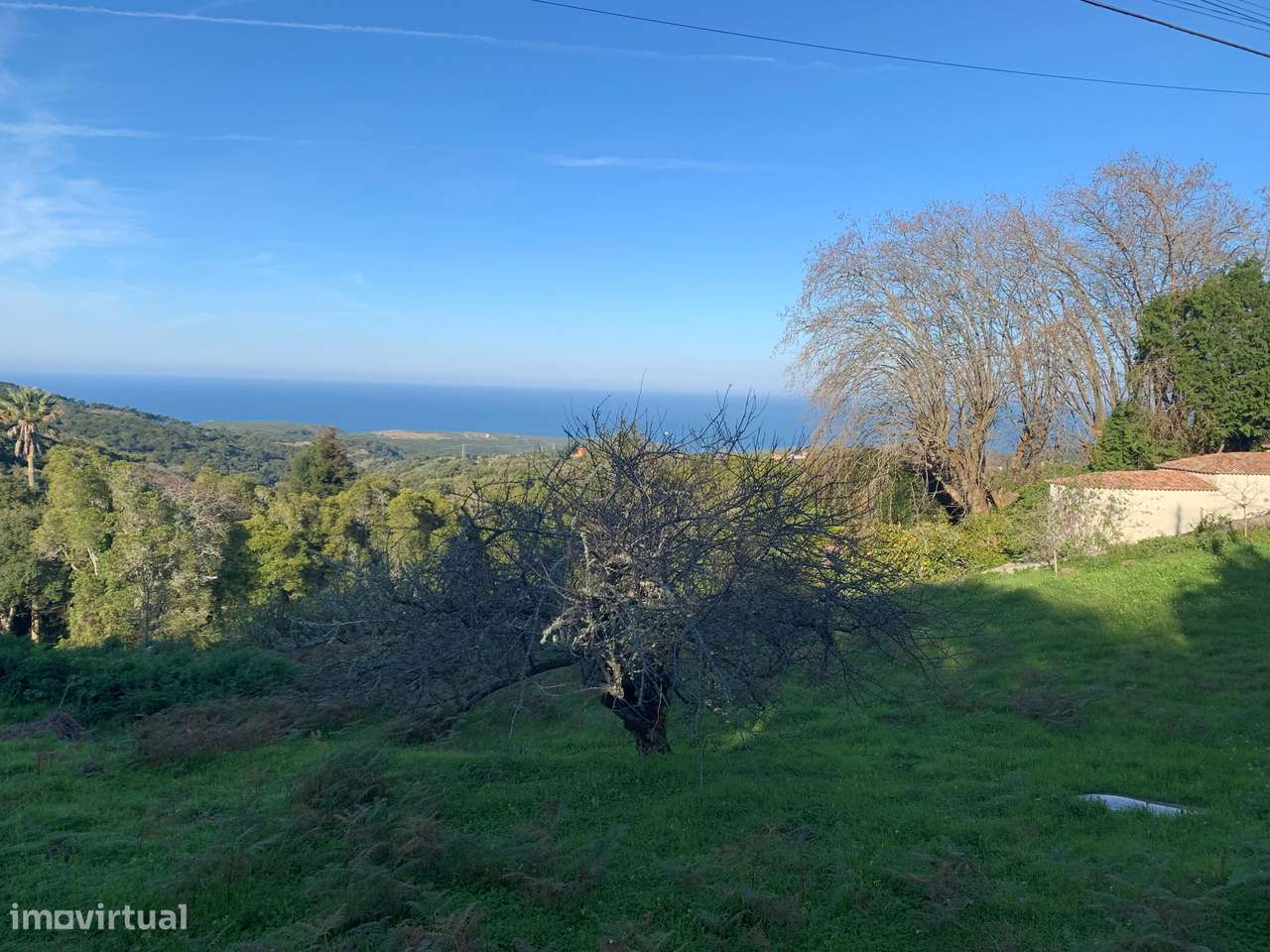 Terreno Rústico Colares - Vista Mar - Grande imagem: 4/7