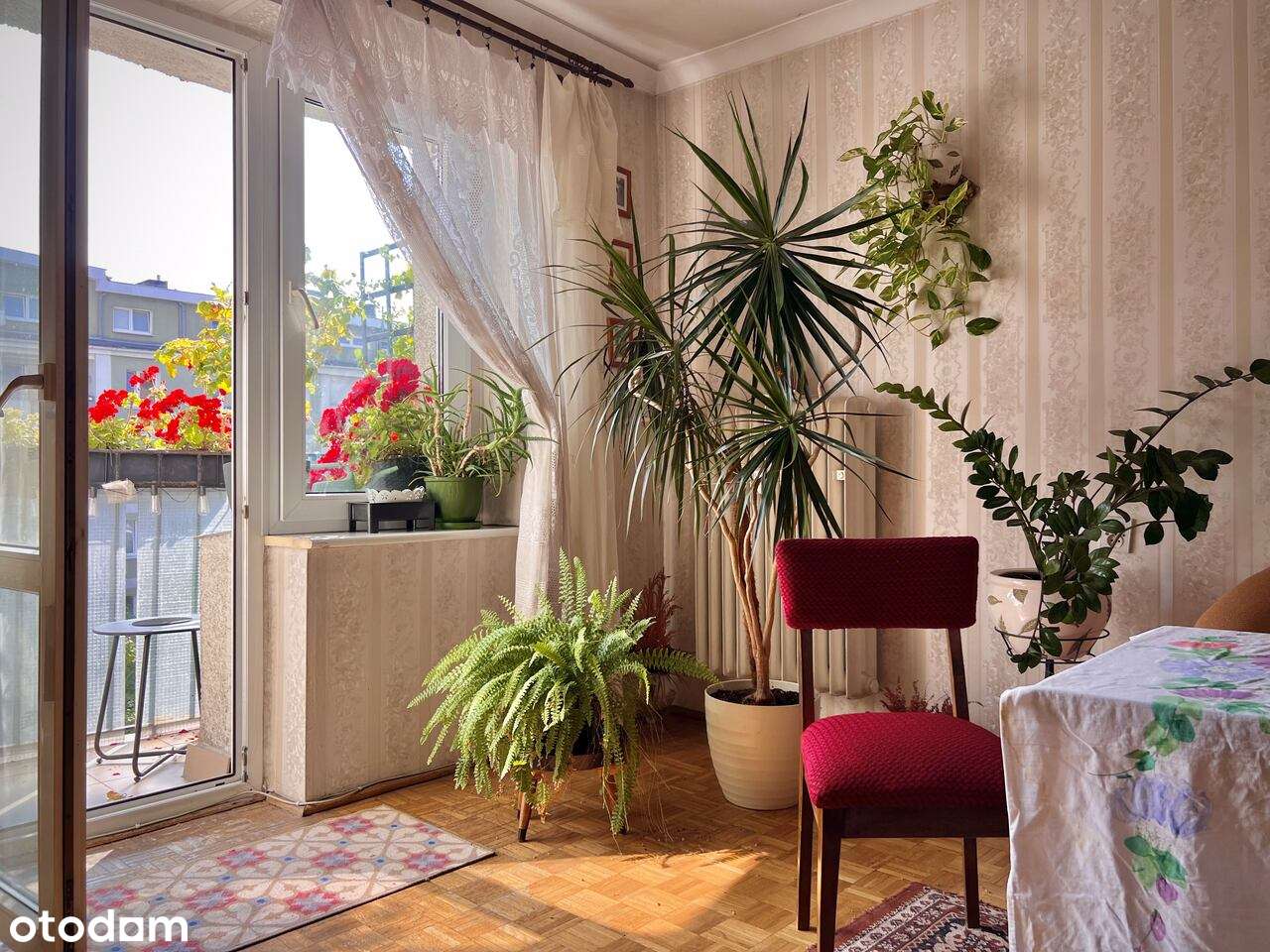 2 pokoje w Centrum Poznania - ul. Karmelicka, przy samym AWF-ie - Pełny obrazek: 3/18