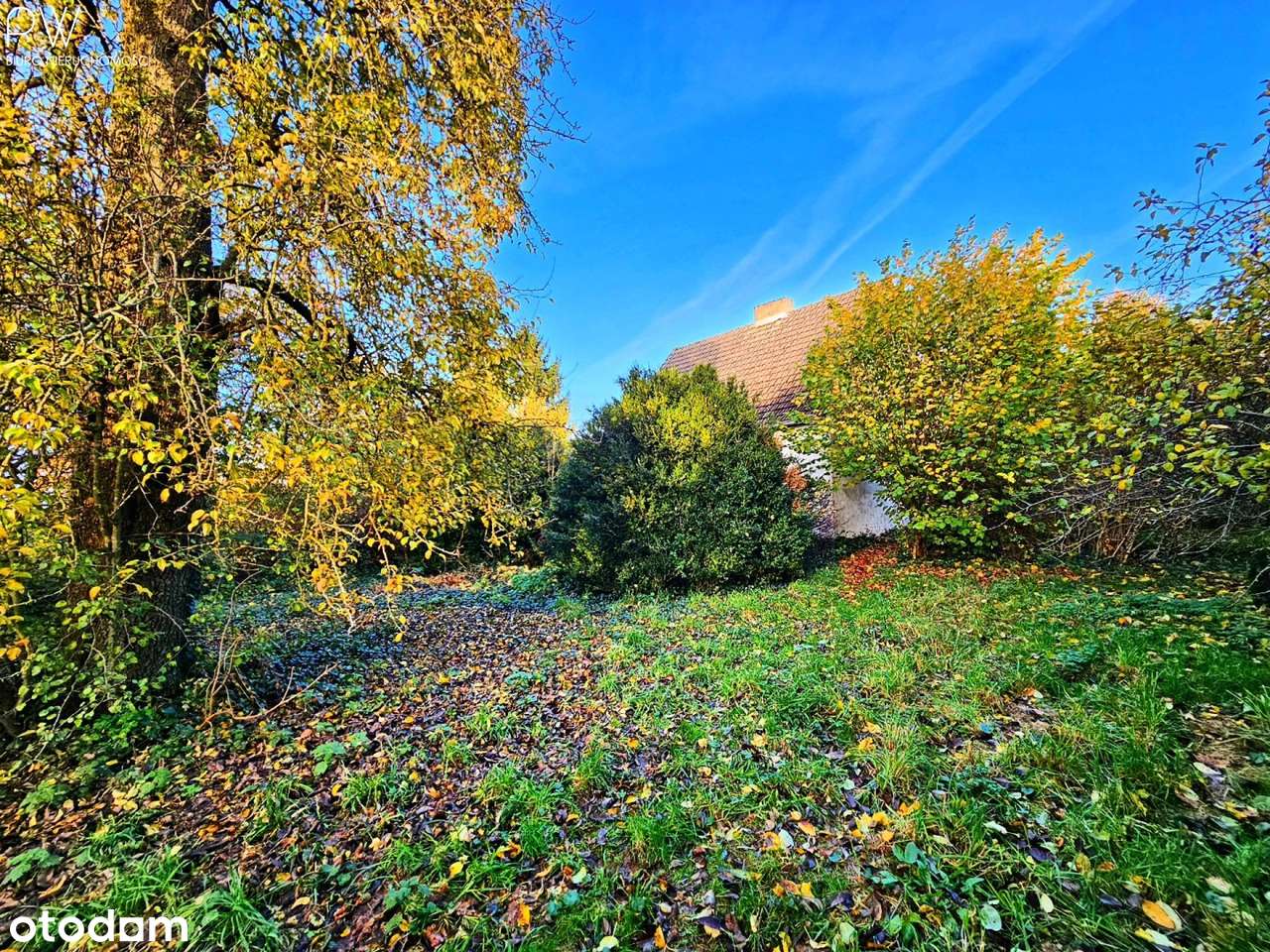 Wyjątkowe siedlisko, dom stodoła-16