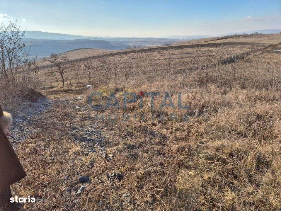 Teren intravilan, 1 000 mp, zona Tausor - Imagine principală: 5/7