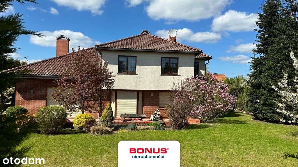 BON48964 - Pełny obrazek: 4/8