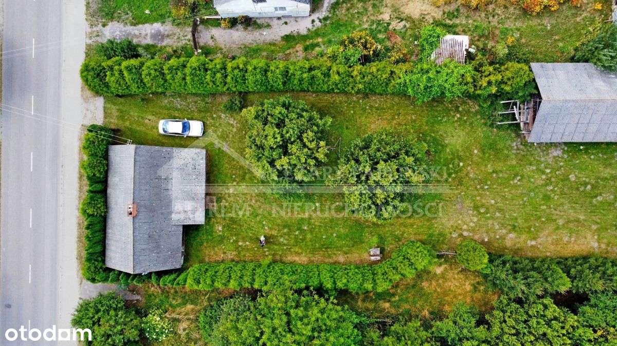 Siennica Różana, 5 818 mkw., siedlisko - Pełny obrazek: 4/5