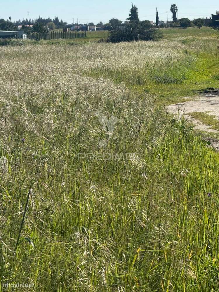 Terreno Misto a Venda - Grande imagem: 5/6