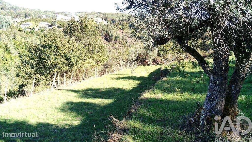 Quinta T4 em Pedrógão Grande de 426,43 m2 - Grande imagem: 4/40