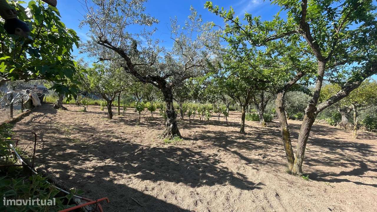 Terreno Rústico | Lousa CTB, Castelo Branco - Grande imagem: 5/28