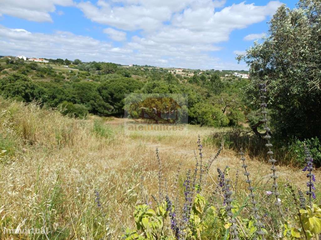 Monte Alentejano - Sul de Melides e 35 minutos da Comporta-23