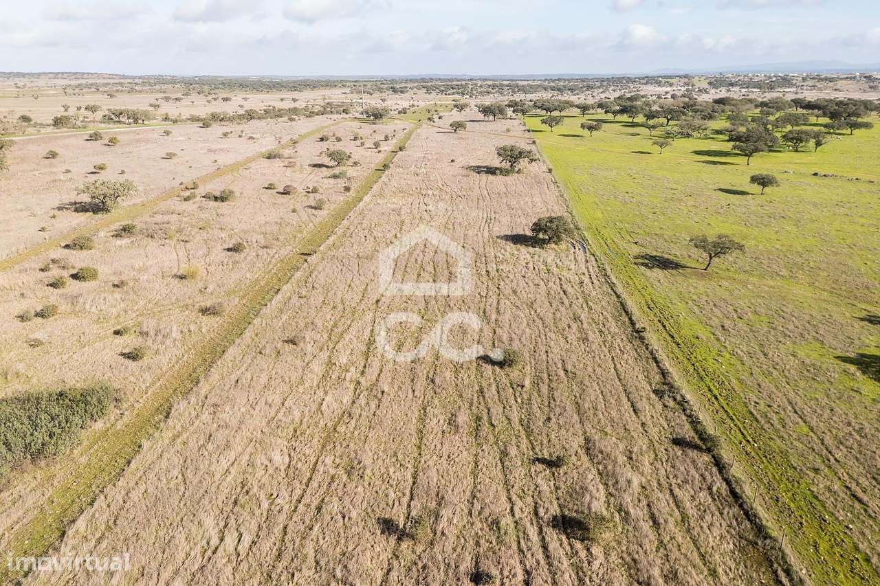Terreno de 5,4 ha c/ Viabilidade de Construção | Capelins, Alandroal-44