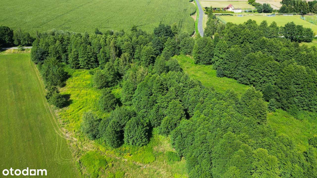 Teren inwestycyjny przy autostradzie-6