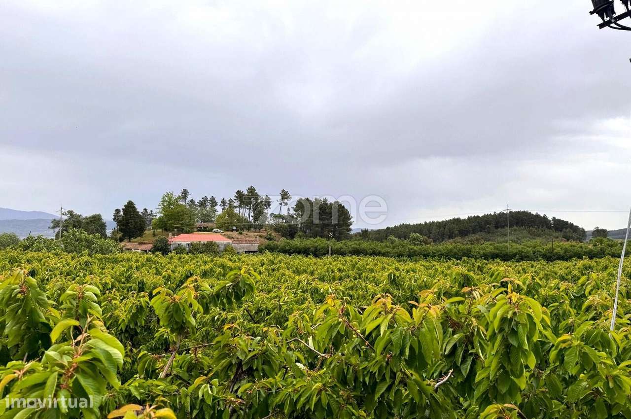 QUINTA no ALCAIDE – FUNDÃO-48