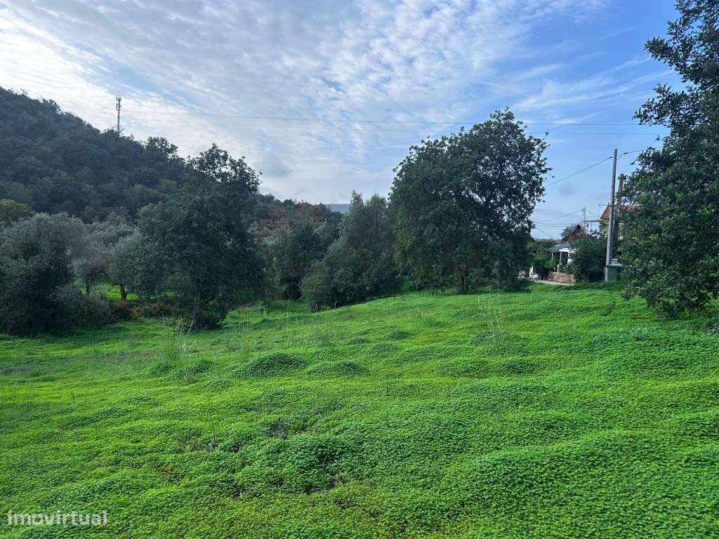 Terreno em Salir com viabilidade de construção - Grande imagem: 5/9