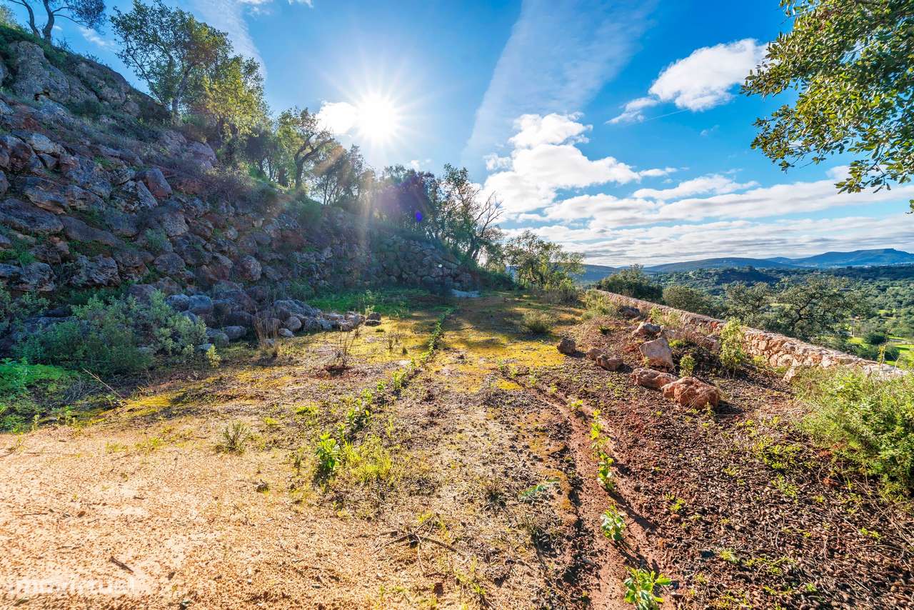 Terreno  Venda em Querença, Tôr e Benafim,Loulé-22