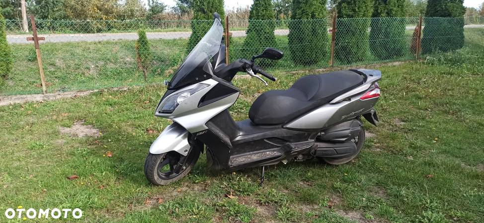 Kymco Dink - 1