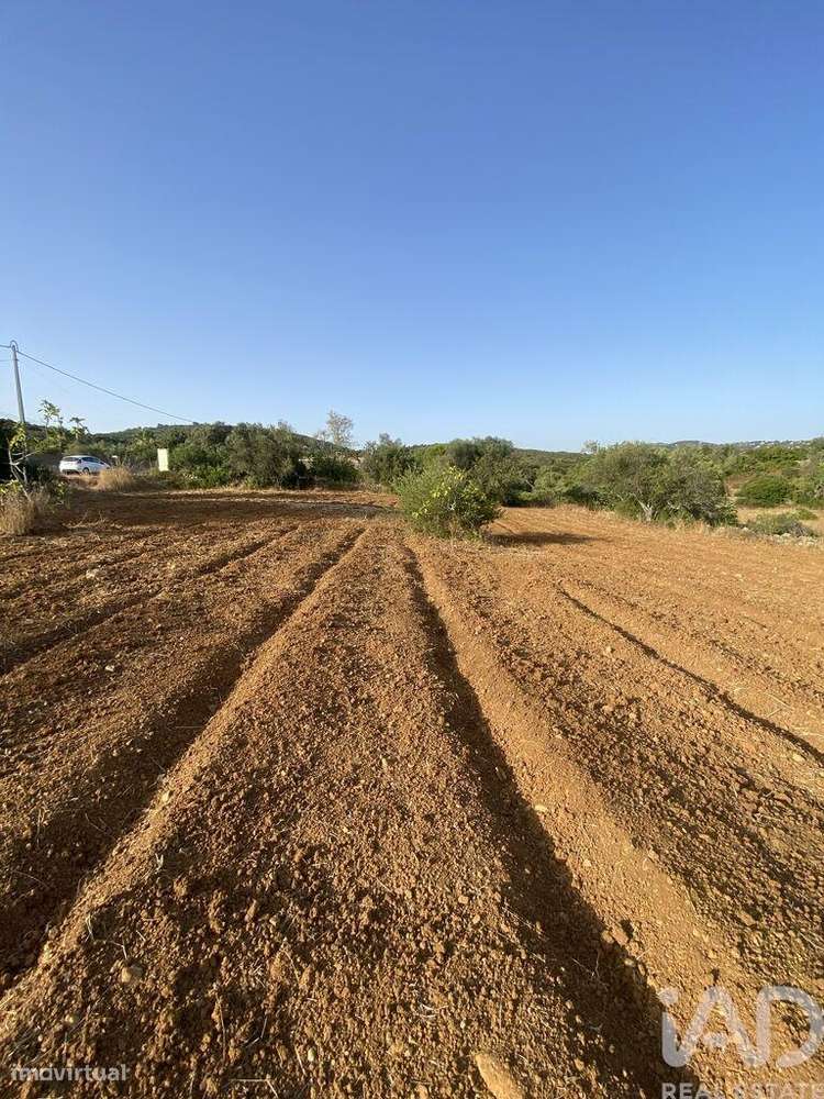 Terreno em Santa Bárbara de Nexe de 2450,00 m2 - Grande imagem: 2/13