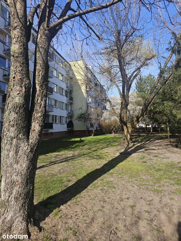 2-pokojowe mieszkanie z potencjałem-spokojne osied - Pełny obrazek: 2/11