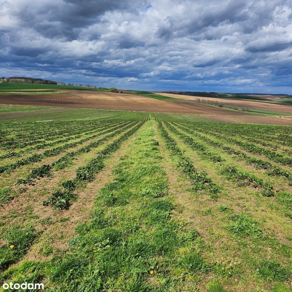 Sprzedam działki rolne, Rozbórz Długi - 52,00 HA