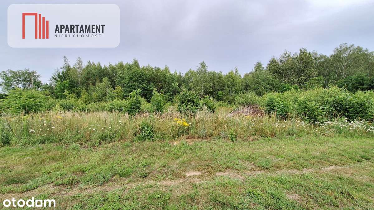 Działka budowlana pod lasem- Dolnik - Pełny obrazek: 5/16