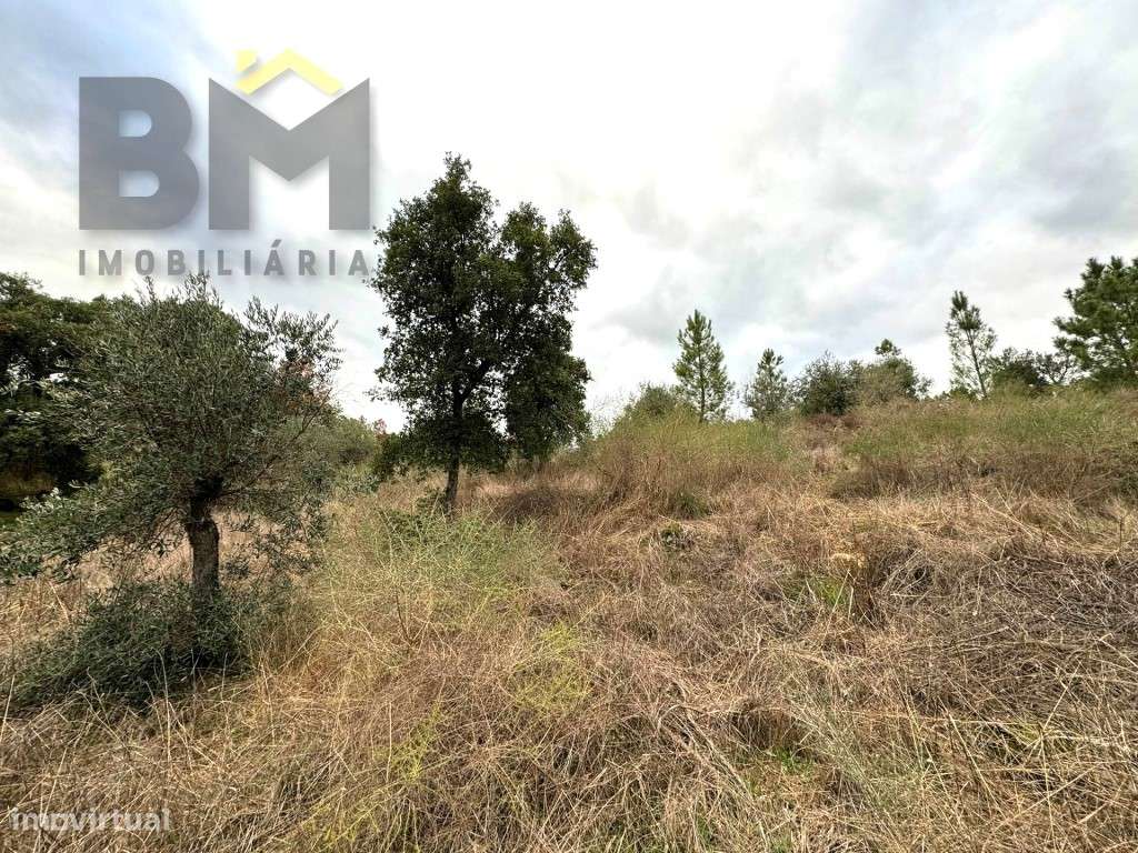 Terreno rústico com 3080m2, para venda, em Salgueiro do Campo! - Grande imagem: 4/10