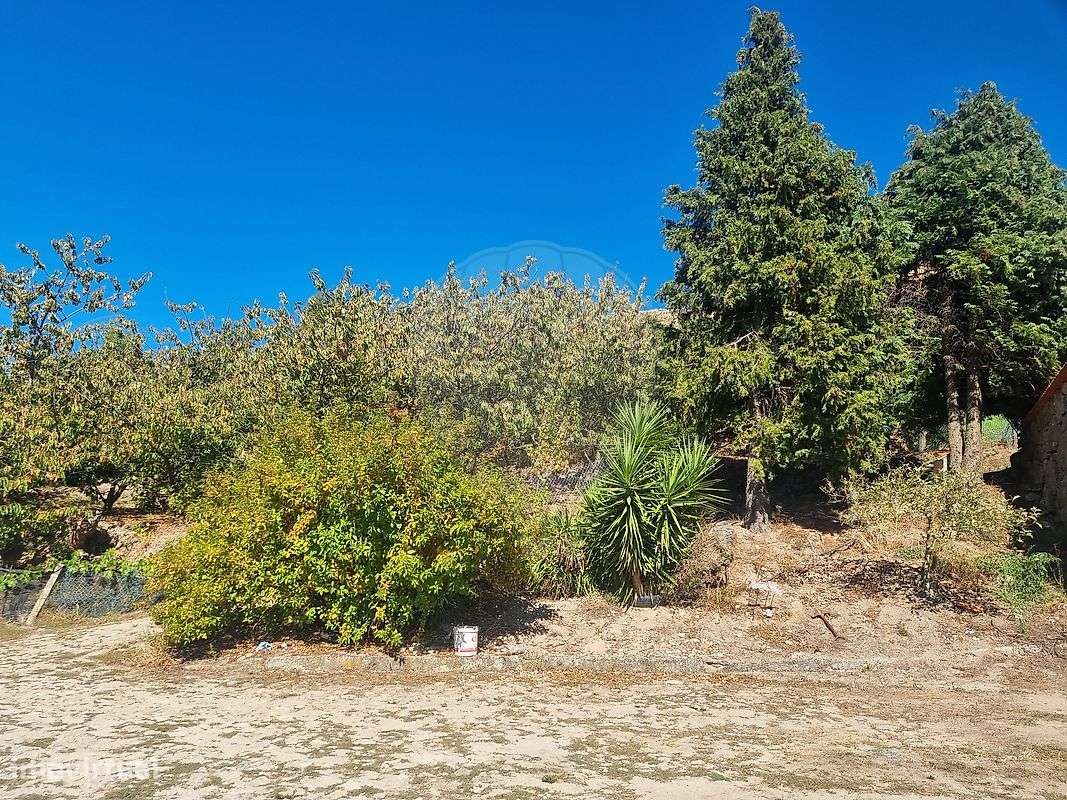 Quinta  para venda-33