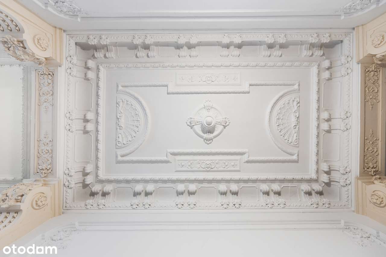 101 m² | Centrum | Oryginalna sztukateria | Wysoki sufit-16