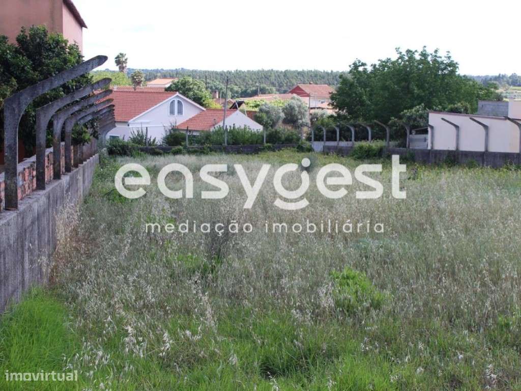 Terreno com 1120m2 área total localizado a 10 minutos cidade Tomar - Grande imagem: 4/16