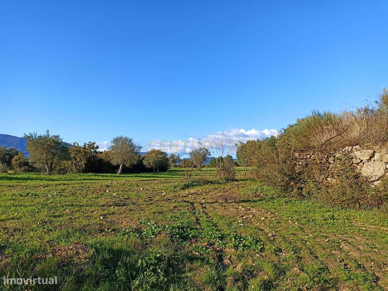 Terreno Rústico em Peraboa, Covilhã - Grande imagem: 4/7