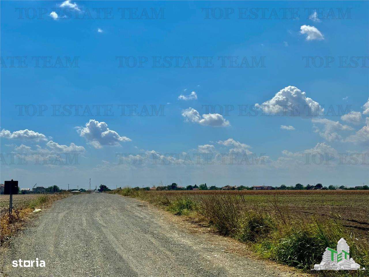 Teren de vanzare lotizat la padure cu utilitati in Frumusani  Calarasi - Imagine principală: 4/5