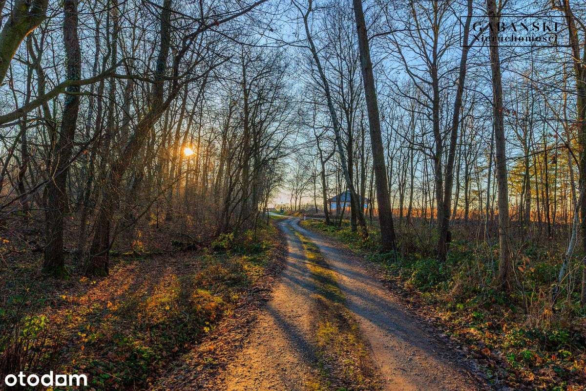 Działka budowlana na sprzedaż - Zaczarnie-16