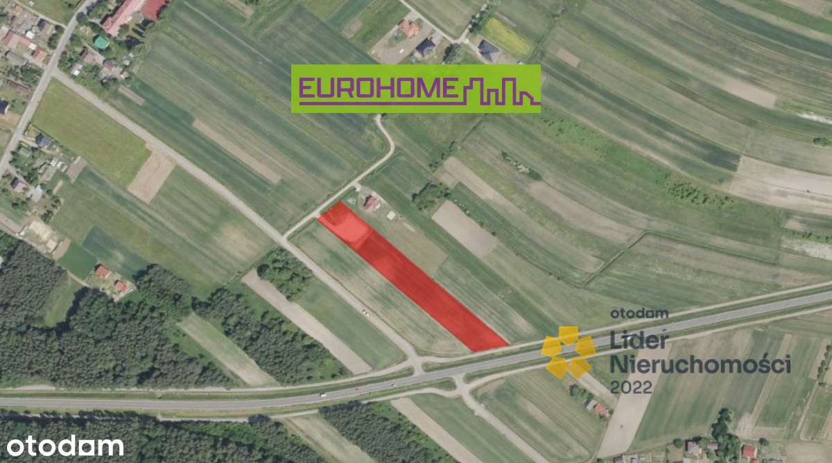 Działka z fundamentami | Borki Nizińskie | 74 ar | - Pełny obrazek: 4/8