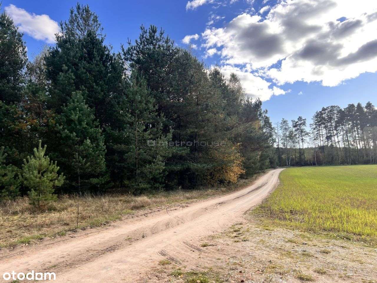 Działka siedliskowa z linią brzegową, przy lesie-12