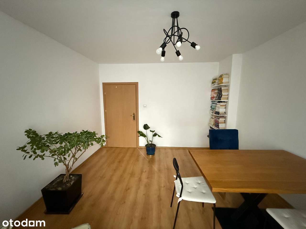 2 pokojowe mieszkanie 41m2  do remontu na Krzykach - Pełny obrazek: 5/13