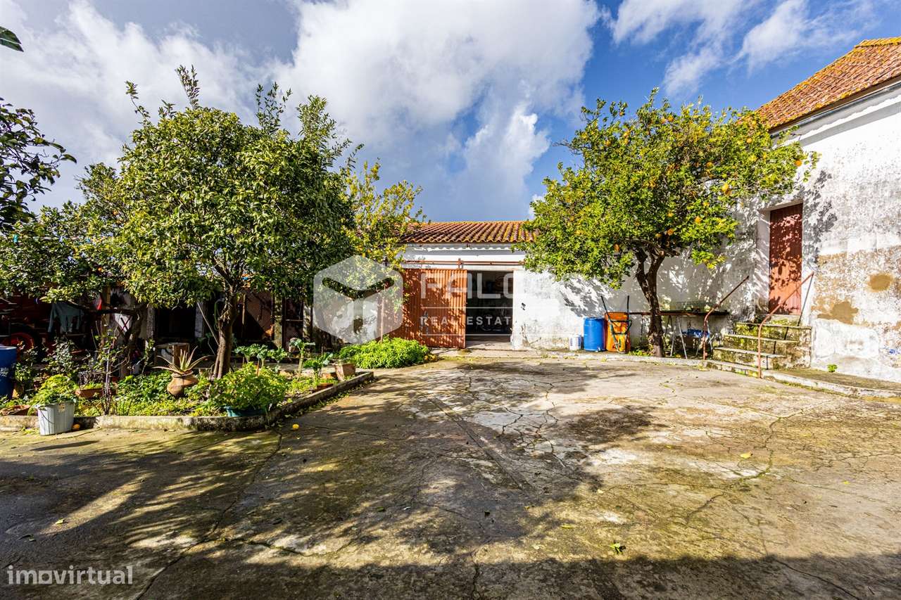 Moradia T4 Venda em Alcanhões,Santarém - Grande imagem: 2/35