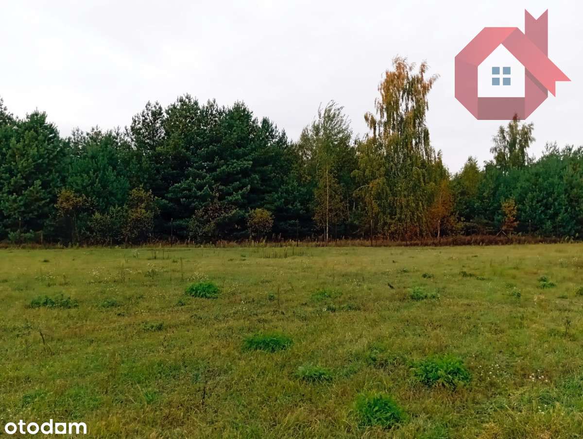 Działka 1726 m2 z prądem , Henryszew k/ Żyrardów-2