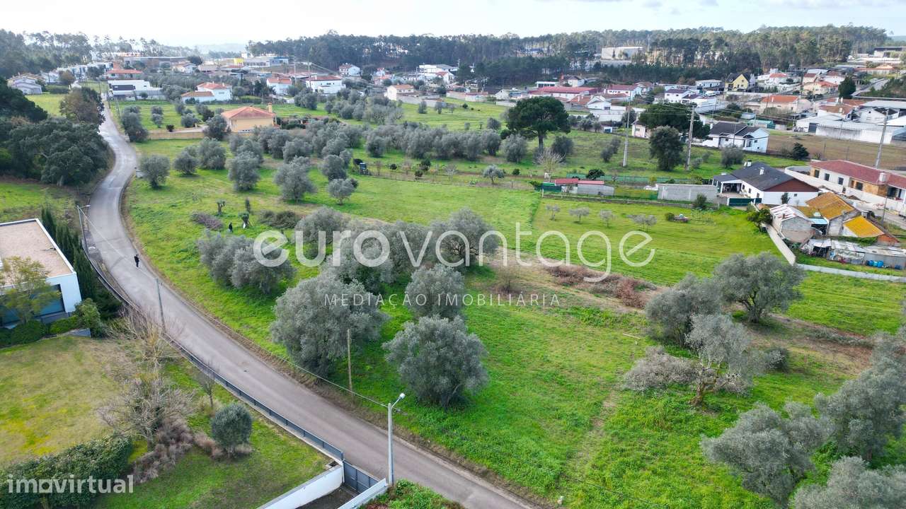 Terreno para construção - Ortigosa - Grande imagem: 3/6