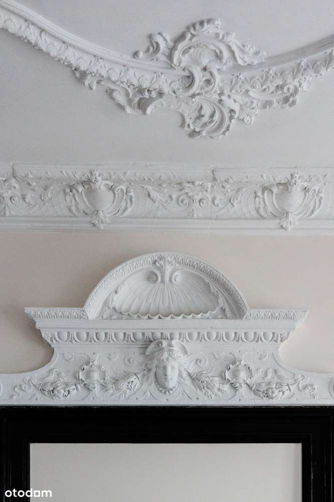 Kamieniczna klasa premium - lokale komercyjne/mieszkalne-4