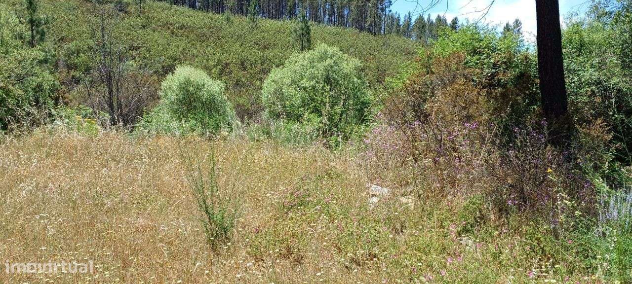 Terreno - Grande imagem: 2/4