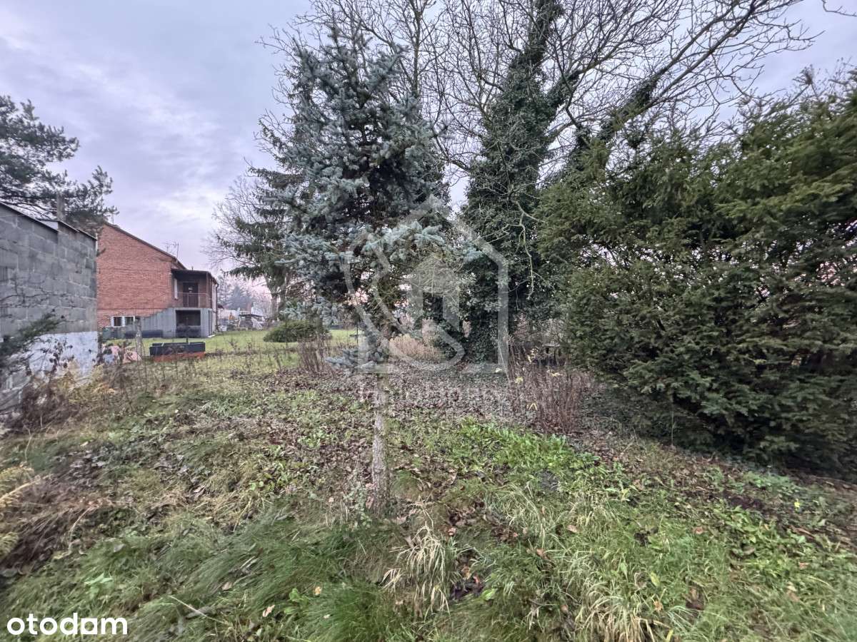 Dom do kapitalnego remontu | Duża działka |-9