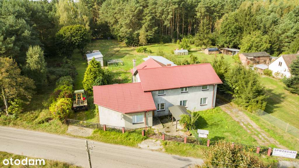 Atrakcyjna Nieruchomość w Ładzinie - do negocjacji - Pełny obrazek: 4/16