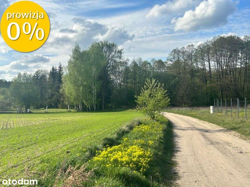 Działka budowlana w otoczeniu lasów! - Pełny obrazek: 4/4