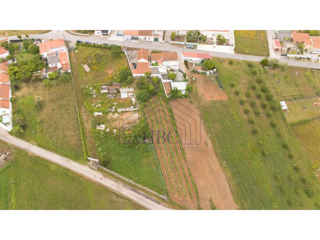 Terreno com Potencial de Construção e Vista Serra de Montejunto - B...-7
