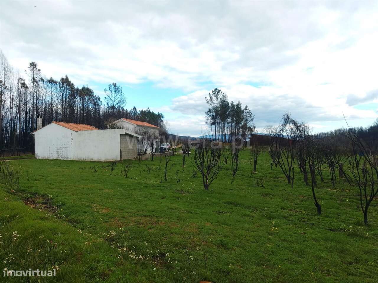Quintinha T1 / Covilhã, Erada - Grande imagem: 3/16
