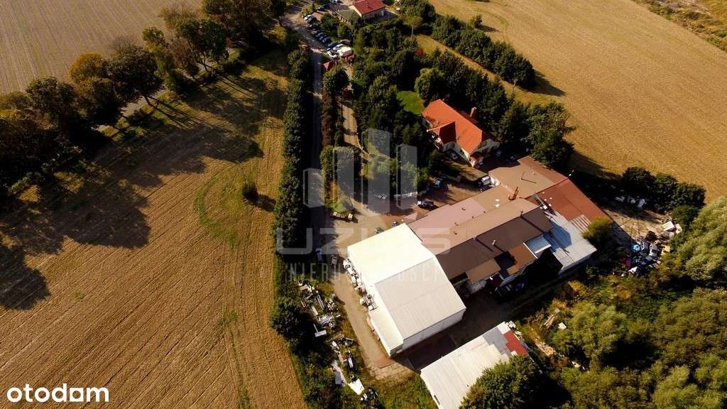 Obiekt magazynowy na wynajem - Pełny obrazek: 4/5