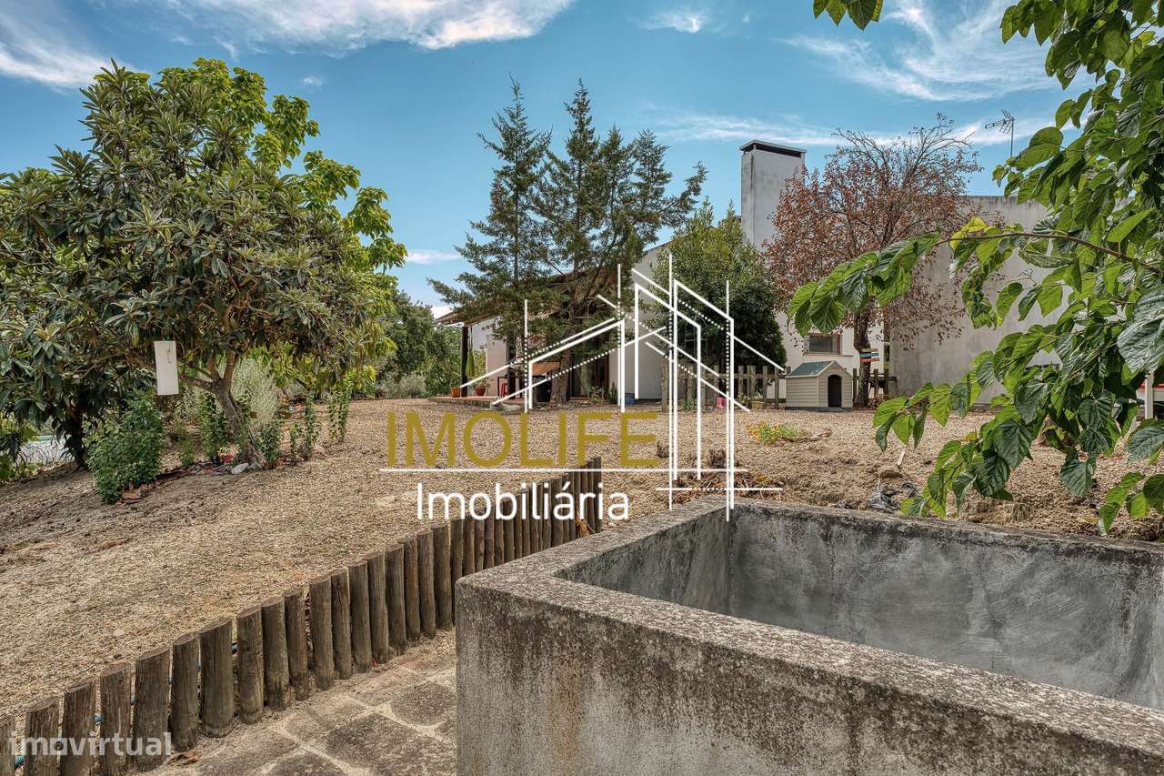 Quinta T4 em Mora-11