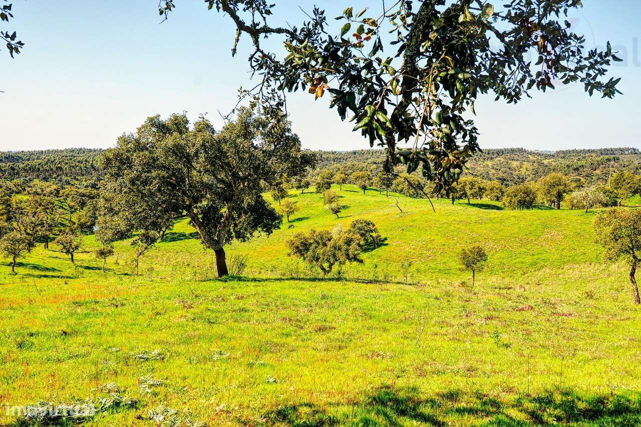 TERRENO EM S.BARTOLOMEU DA SERRA-27